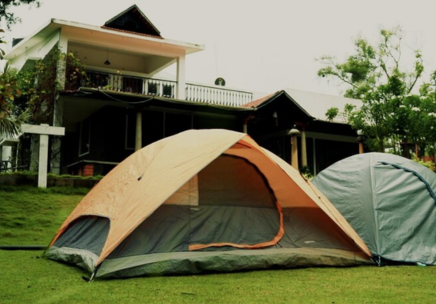 Luxurious Dinner Setting
