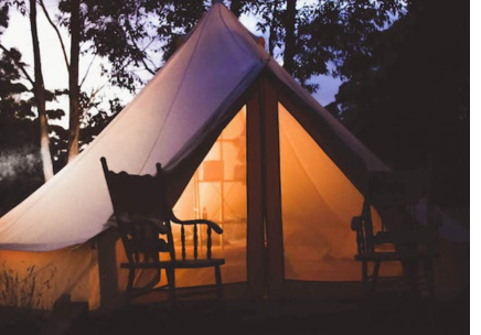 Luxurious Dinner Setting